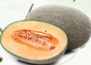 网红吃哈密瓜图片,甜蜜滋味引网友热议 第3张 网红吃哈密瓜图片,甜蜜滋味引网友热议 第3张