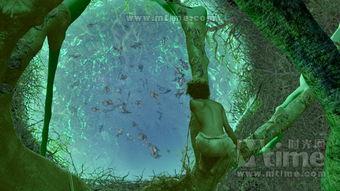 少年的奇幻漂流在线观看,一场惊心动魄的冒险之旅